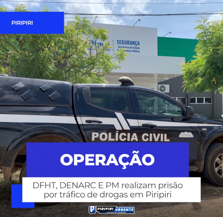 DFHT, DENARC E PM realizam prisão por tráfico de drogas em Piripiri