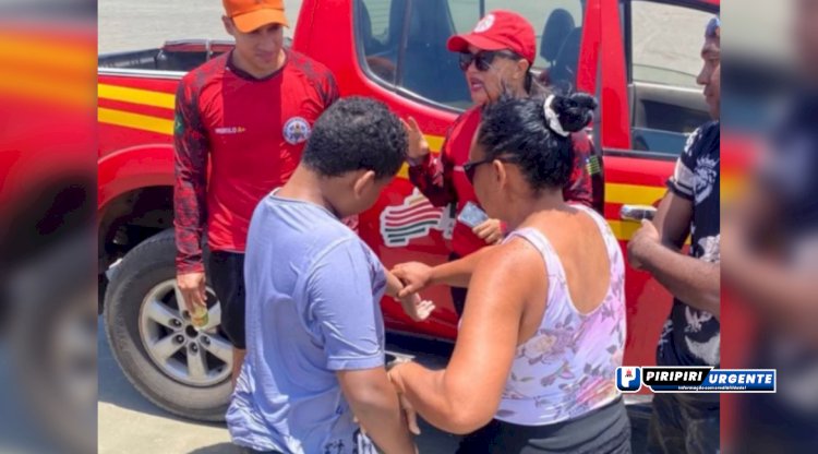 Mais de 40 banhistas sofrem queimaduras por caravelas-portuguesas no Piauí