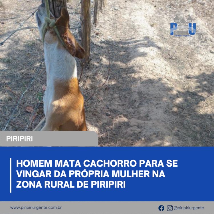 Homem mata cachorro para se vingar da própria mulher na zona rural de Piripiri